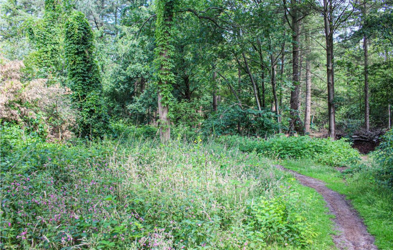 Huiske Oan T Bos Lage Mierde エクステリア 写真